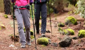 اصول گام برداری صحیح در کوهنوردی | پیاده‌روی صحیح در کوهپیمایی