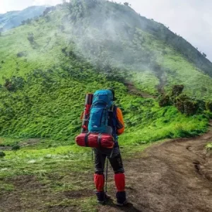 چگونه برای گردشگری در جنگل ، آماده شویم ؟