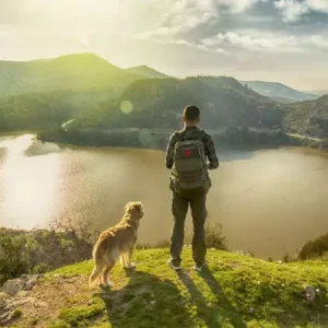 حفاظت از محیط زیست | برای حفظ محیط زیست چه کارهایی انجام دهیم؟