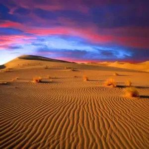 10 نکته برای کویر نوردی