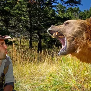 چگونه در مسیر کوهنوردی از غذای خود در برابر حیوانات موذی، حفاظت کنیم ؟