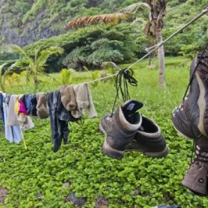 پوشش های مناسب جنگل و طبیعت گردی