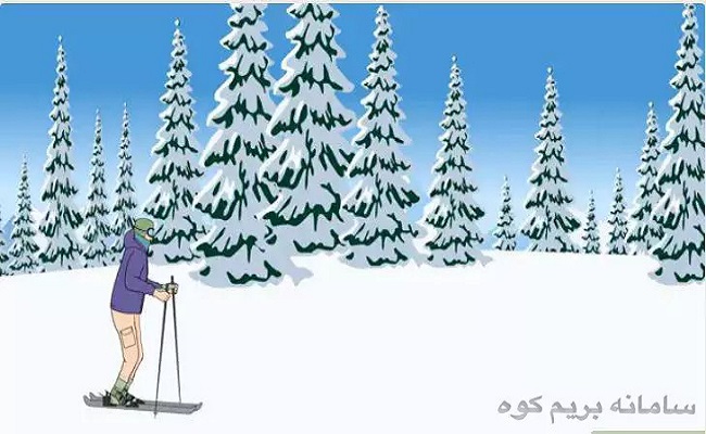 حرکات مختلف در ورزش اسکی