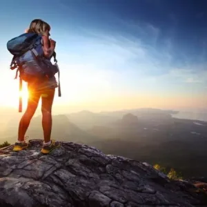 چگونه با زنده‌ یاب‌ کار کنیم؟