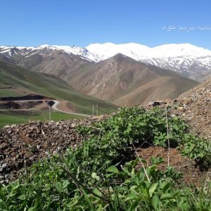 راهنمای صعود به قله زلیخا – طرح سیمرغ