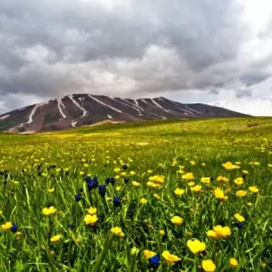 راهنمای صعود به قله کمال – طرح سیمرغ