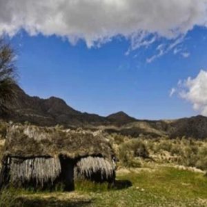 ورود به منطقه حفاظت شده گنو ممنوع شد