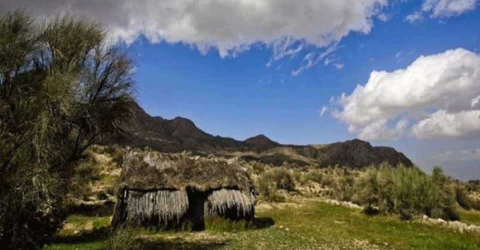 ورود به منطقه حفاظت شده گنو ممنوع شد