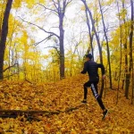 پیاده روی در پاییز