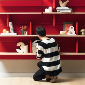 Reinterprets the classic bookshelf
