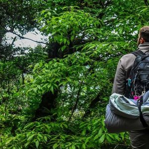 طبیعت گردی چیست؟🌳| اصول و انواع آن