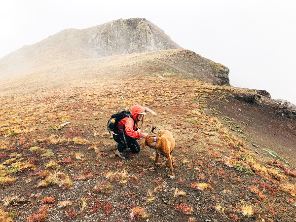 عکس زیبا از زن کوهنورد و سگش در کوهستان