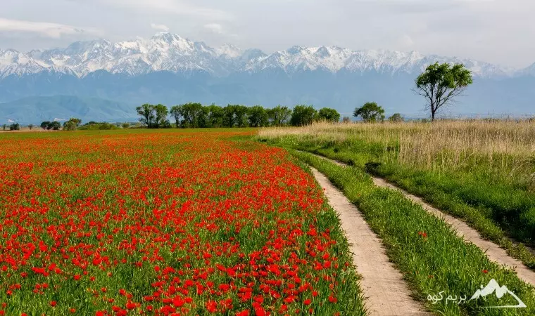 طبیعت گردی چیست