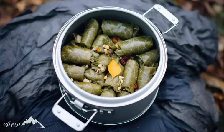 چگونه غذای آماده کوهنوردی انتخاب کنیم؟