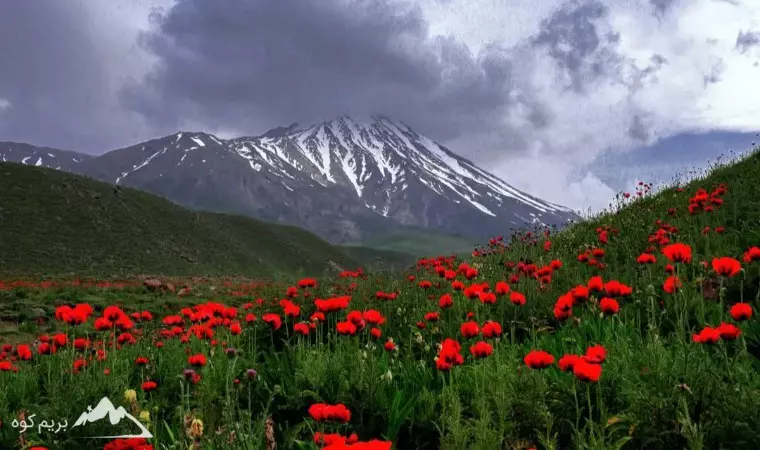 تجهیزات صعود به دماوند