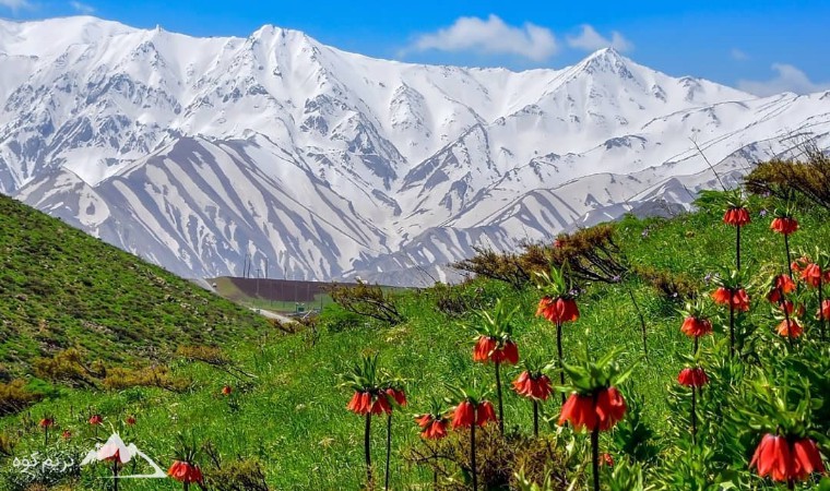 قالی کوه؛ نگین زاگرس مرکزی