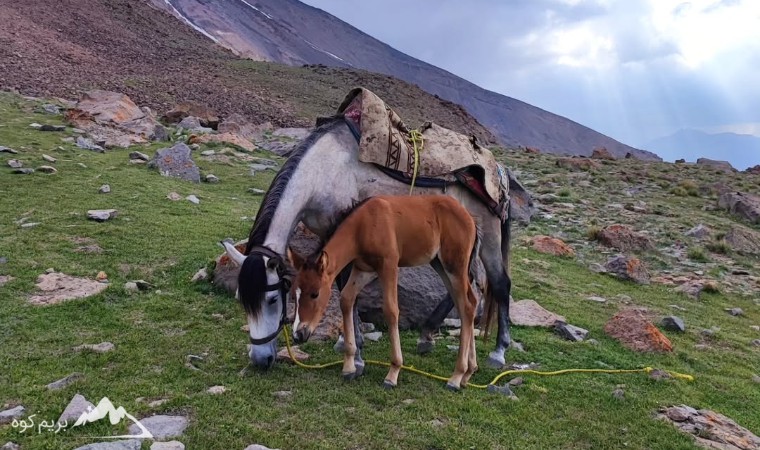 مسیر صعود به دماوند از جبهه شمال شرقی